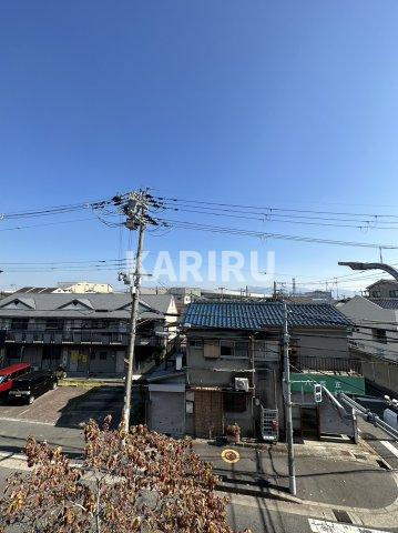 ハナミズキの展望