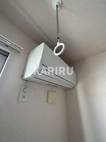 ハナミズキのその他