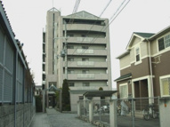 パレフルールの画像