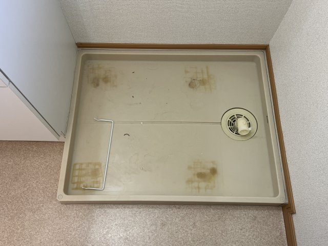 ティエラ・アサヒのその他