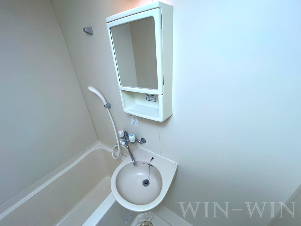 コスモベルテの洗面所