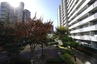 【展望】 | 【上質リノベ】サーパスタウン大町3番館 | 現地（2023年11月7日9：00頃）撮影