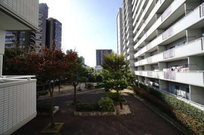 【展望】 | 【上質リノベ】サーパスタウン大町3番館 | 現地（2023年11月7日9：00頃）撮影