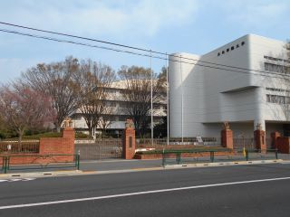 大学