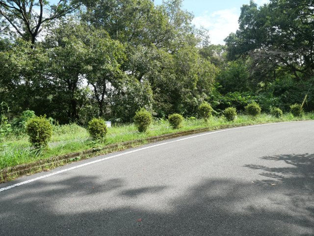 南那須・大金台林間住宅地⑥の前面道路含む現地写真