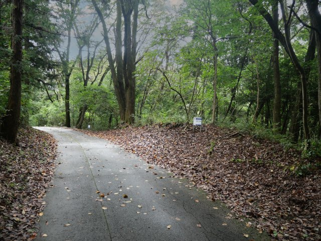 南那須・大金台林間住宅地⑦の前面道路含む現地写真