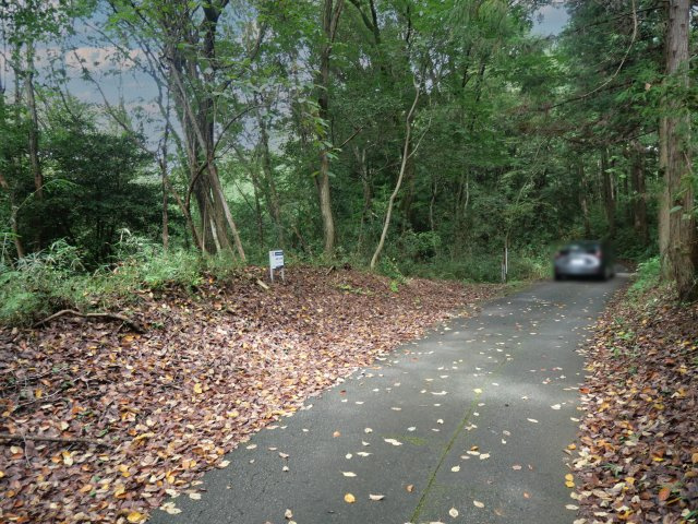 南那須・大金台林間住宅地⑦の前面道路含む現地写真