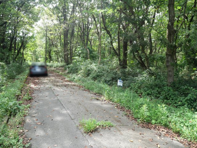南那須・大金台林間住宅地⑧の前面道路含む現地写真