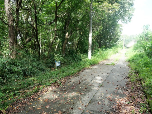 南那須・大金台林間住宅地⑧の前面道路含む現地写真