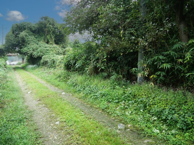 那須グリーンランド高林①の外観