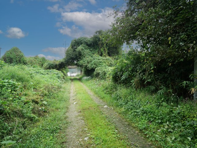 那須グリーンランド高林①の前面道路含む現地写真