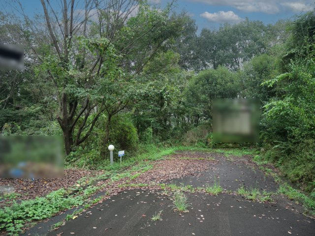 芭蕉温泉ランド①の前面道路含む現地写真