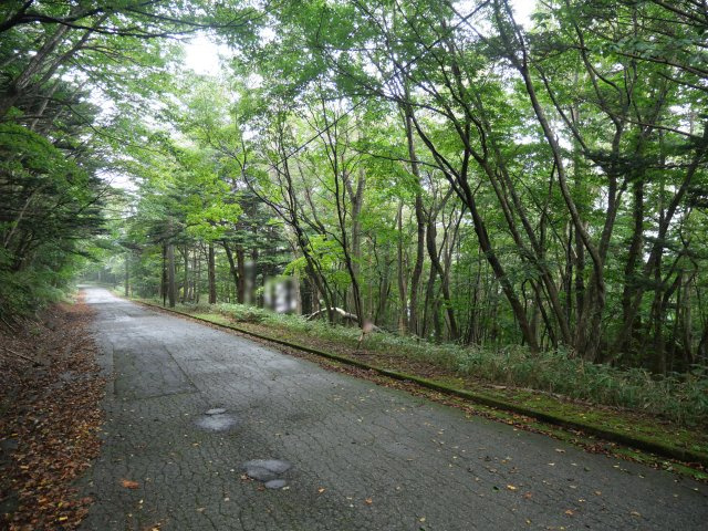 那須白笹温泉郷①の前面道路含む現地写真