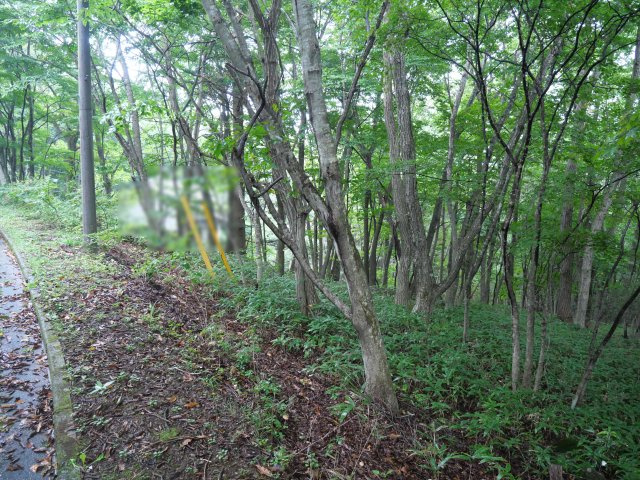 那須白笹温泉郷②の外観