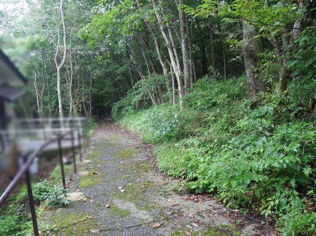 那須白笹温泉郷②の前面道路含む現地写真
