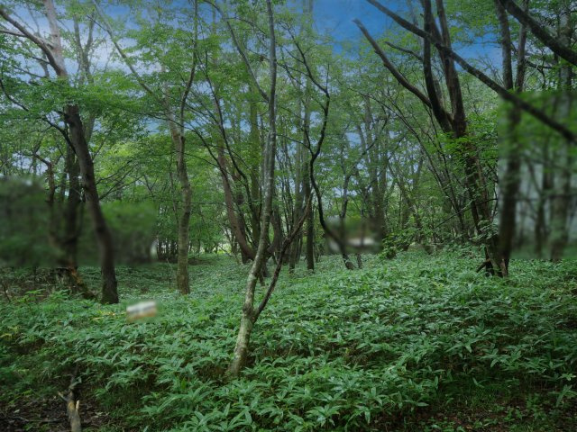 那須白笹温泉郷➂の外観