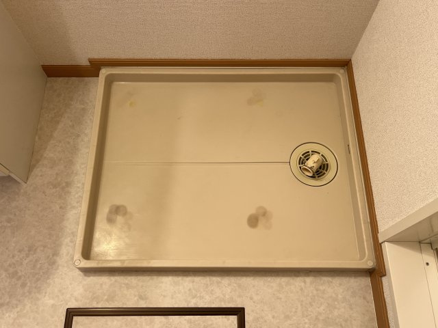 サニーパレスＣのその他
