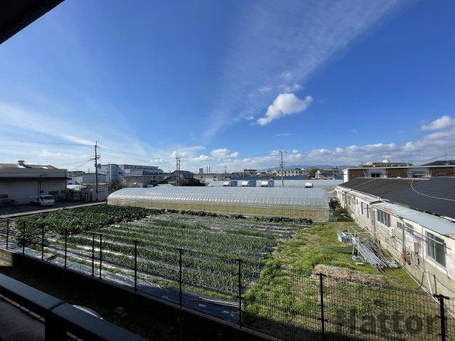 アエロポール伊丹の展望