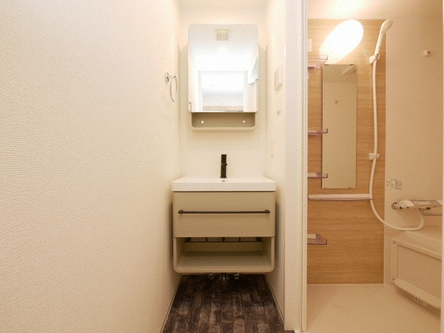 大阪市浪速区日本橋東１丁目の賃貸マンションの独立洗面台