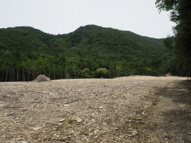 西脇市黒田庄町門柳　山林の画像