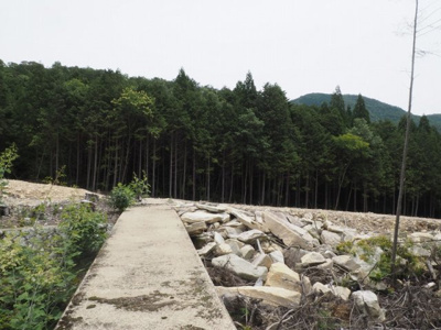 【外観】 | 西脇市黒田庄町門柳　山林