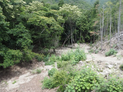 【外観】 | 西脇市黒田庄町門柳　山林