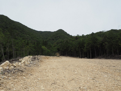 【外観】 | 西脇市黒田庄町門柳　山林