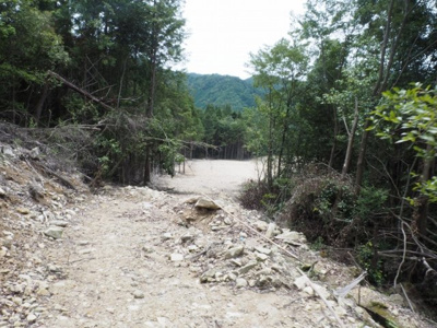 【外観】 | 西脇市黒田庄町門柳　山林