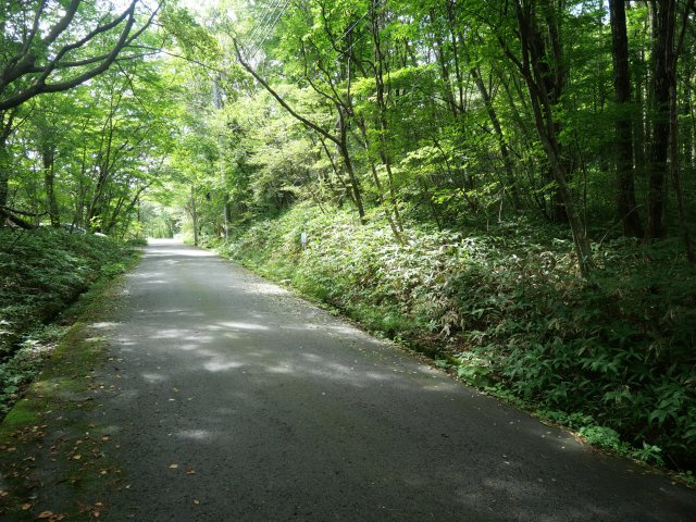 那須ハイランド①の前面道路含む現地写真