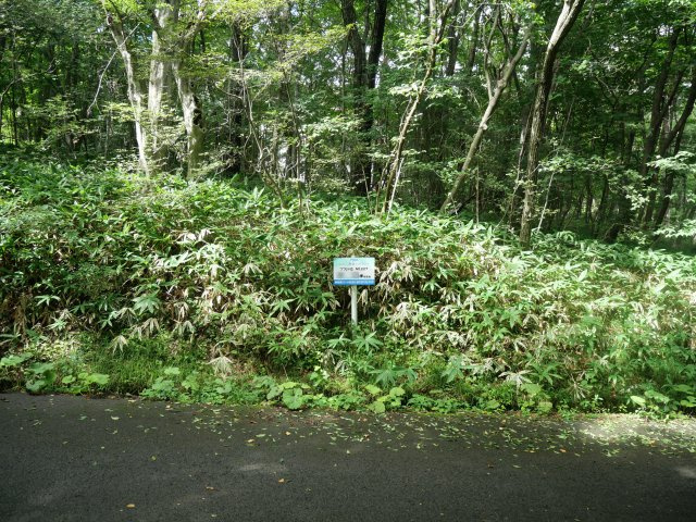 那須ハイランド①の外観