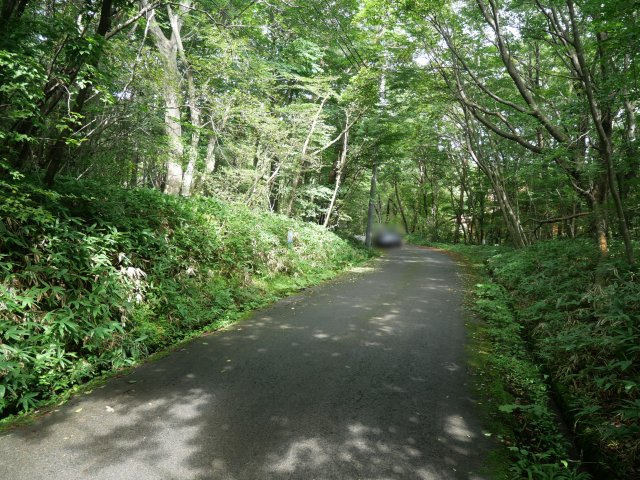 那須ハイランド①の前面道路含む現地写真