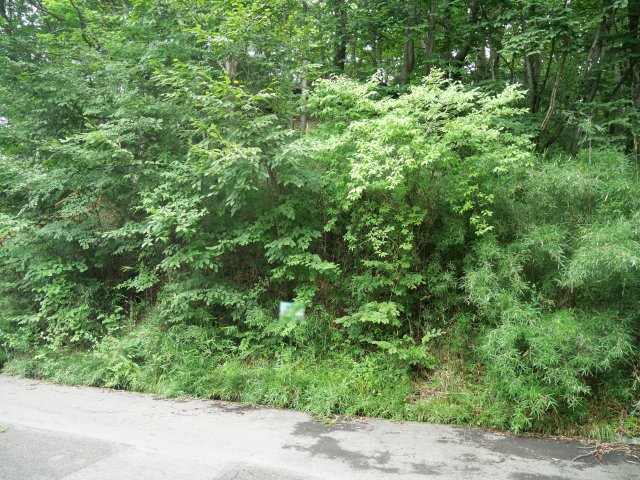 那須ハイランド②