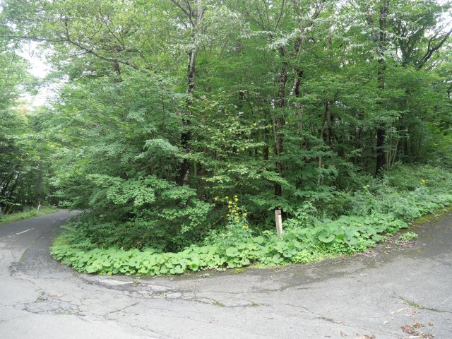 那須ハイランド③