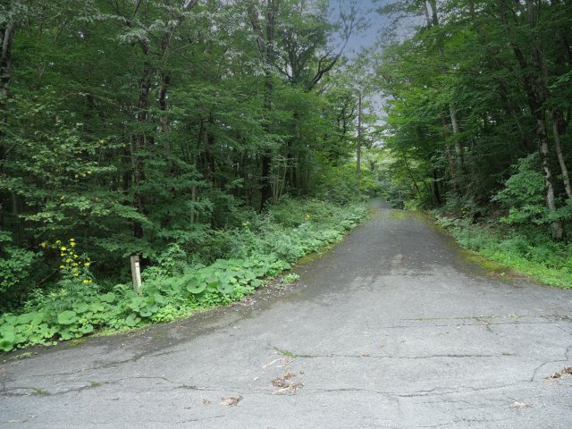 那須ハイランド③の前面道路含む現地写真