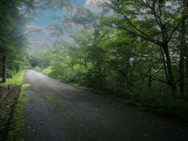 那須ハイランド④の前面道路含む現地写真
