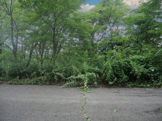 那須ハイランド④の外観