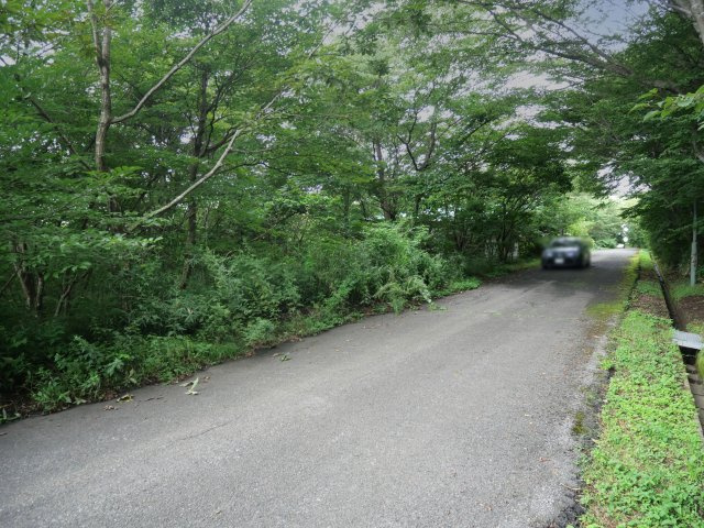 那須ハイランド④の前面道路含む現地写真