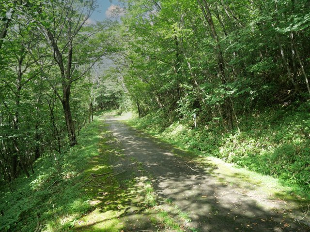 那須ハイランド⑤の前面道路含む現地写真