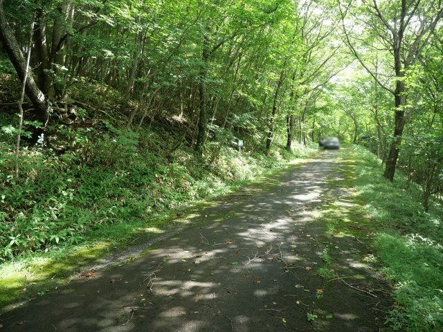 那須ハイランド⑤の前面道路含む現地写真