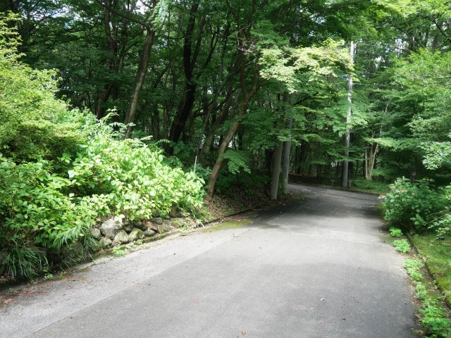 並木台別荘地➂の前面道路含む現地写真
