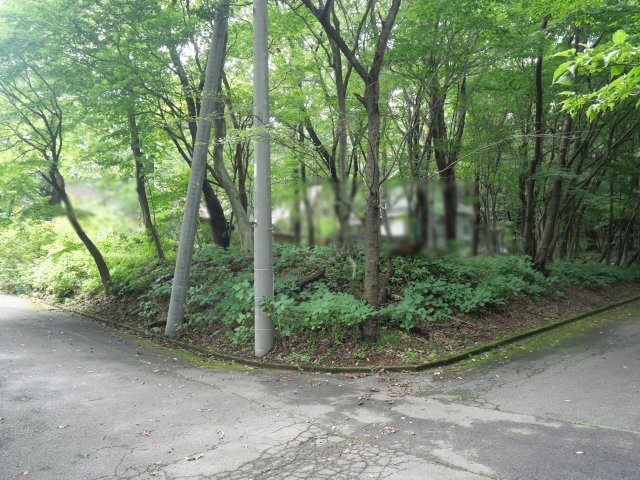 並木台別荘地➂の前面道路含む現地写真