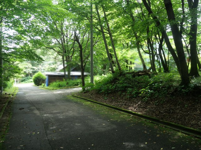 並木台別荘地➂の前面道路含む現地写真