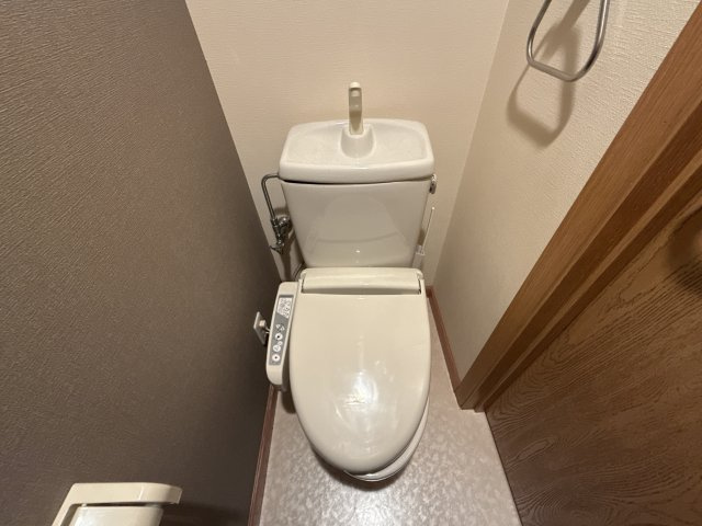 ロイヤルシャトーＭのトイレ