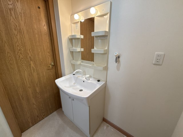 ロイヤルシャトーＭの洗面所