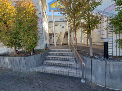 【エントランス】 | マウントップ | エントランスです