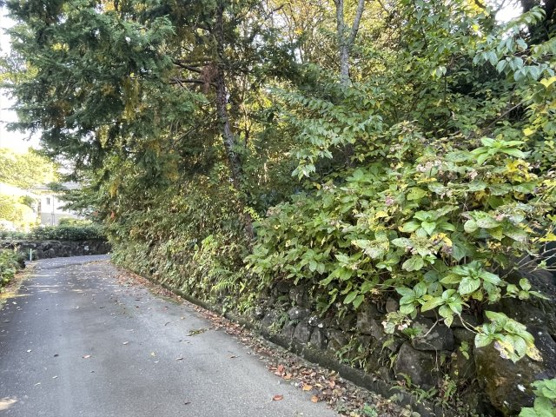 【外観】 | 大室高原別荘地　売地