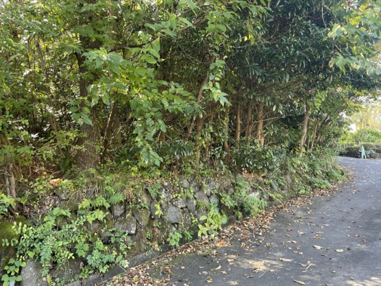 【外観】 | 大室高原別荘地　売地