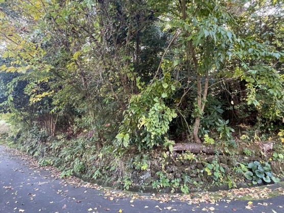 【外観】 | 大室高原別荘地　売地