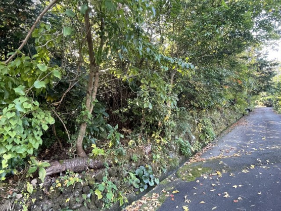 【外観】 | 大室高原別荘地　売地