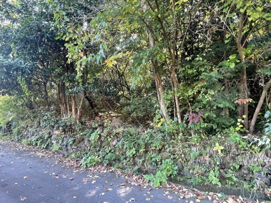 【外観】 | 大室高原別荘地　売地